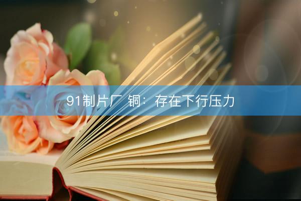 91制片厂 铜：存在下行压力
