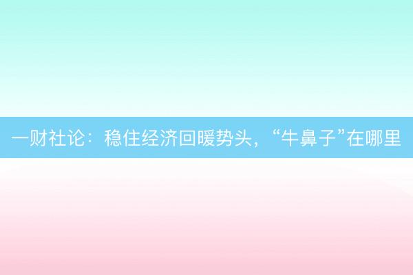 一财社论：稳住经济回暖势头，“牛鼻子”在哪里