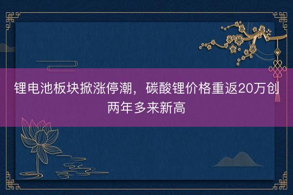 锂电池板块掀涨停潮，碳酸锂价格重返20万创两年多来新高