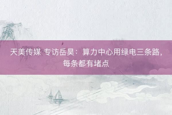 天美传媒 专访岳昊：算力中心用绿电三条路，每条都有堵点