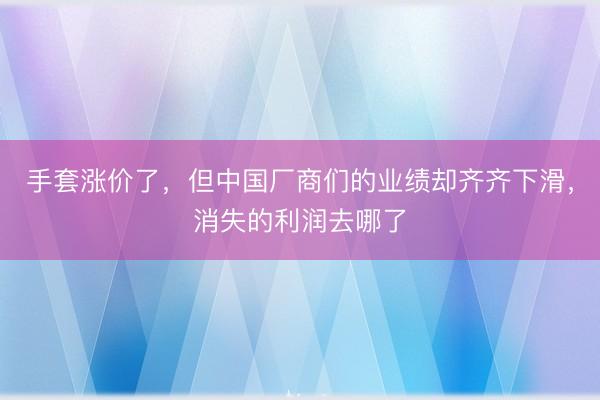手套涨价了，但中国厂商们的业绩却齐齐下滑，消失的利润去哪了