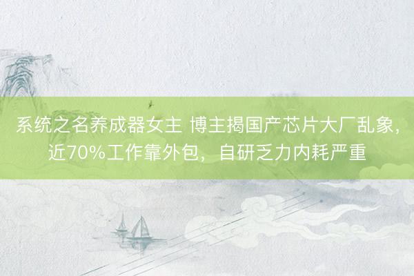 系统之名养成器女主 博主揭国产芯片大厂乱象，近70%工作靠外包，自研乏力内耗严重