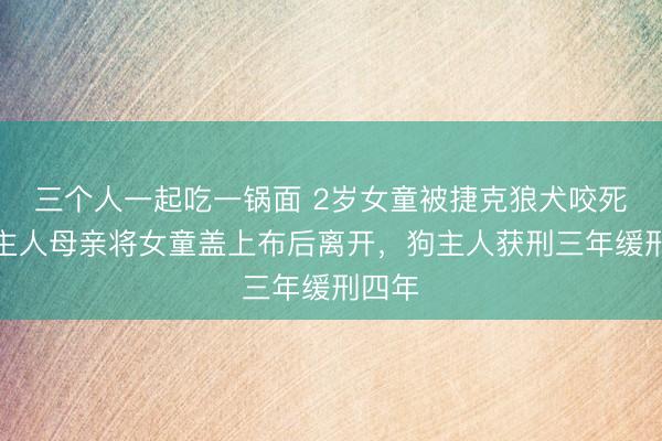 三个人一起吃一锅面 2岁女童被捷克狼犬咬死，狗主人母亲将女童盖上布后离开，狗主人获刑三年缓刑四年