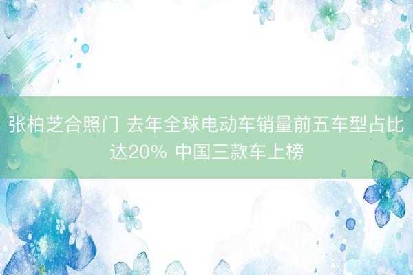 张柏芝合照门 去年全球电动车销量前五车型占比达20% 中国三款车上榜