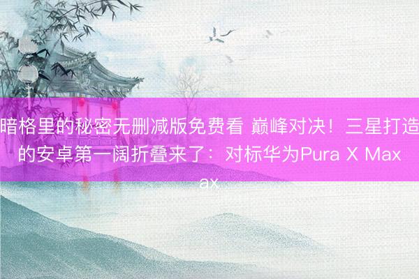 暗格里的秘密无删减版免费看 巅峰对决！三星打造的安卓第一阔折叠来了：对标华为Pura X Max