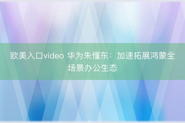 欧美入口video 华为朱懂东：加速拓展鸿蒙全场景办公生态