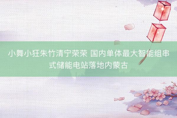 小舞小狂朱竹清宁荣荣 国内单体最大智能组串式储能电站落地内蒙古