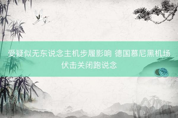 受疑似无东说念主机步履影响 德国慕尼黑机场伏击关闭跑说念