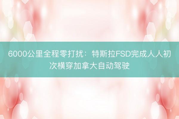6000公里全程零打扰：特斯拉FSD完成人人初次横穿加拿大自动驾驶