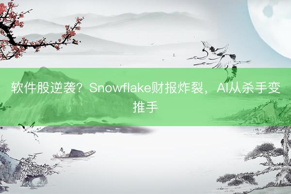 软件股逆袭？Snowflake财报炸裂，AI从杀手变推手