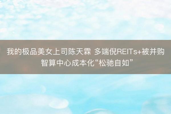 我的极品美女上司陈天霖 多端倪REITs+被并购 智算中心成本化“松驰自如”