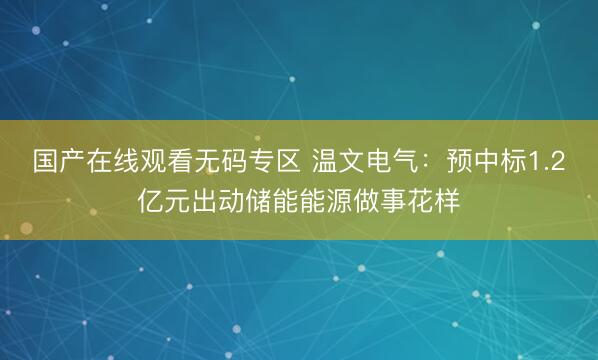 国产在线观看无码专区 温文电气：预中标1.2亿元出动储能能源做事花样