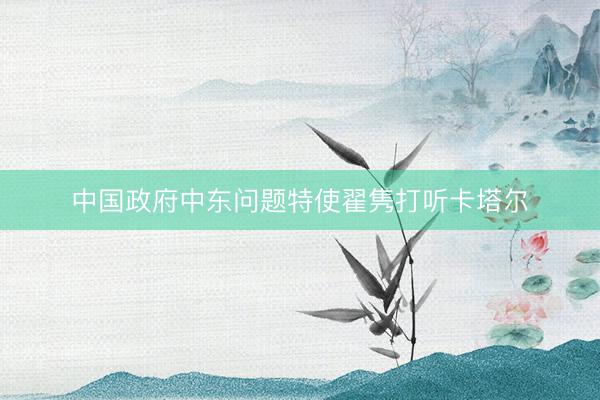 中国政府中东问题特使翟隽打听卡塔尔