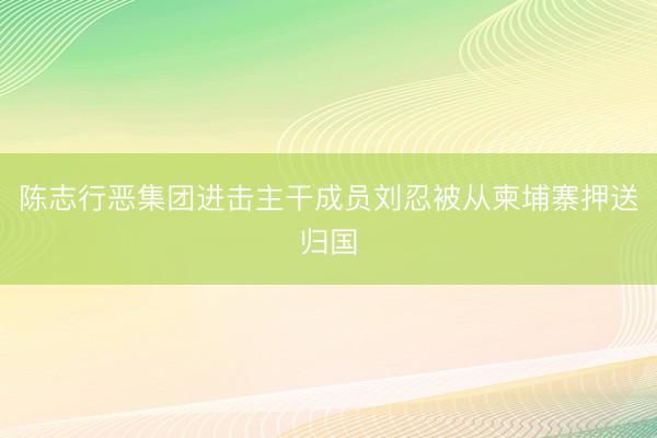 陈志行恶集团进击主干成员刘忍被从柬埔寨押送归国